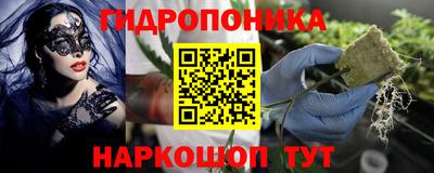 эйфоретик Моздок