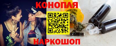 гашик Можга