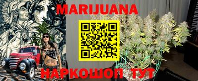гашик Можга