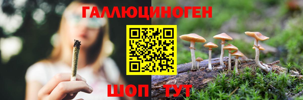 Псилоцибиновые грибы Psilocybine cubensis Туймазы